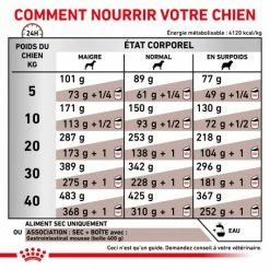 ROYAL CANIN Dog Gastro Intestinal 12 ROYAL CANIN Dog Gastro Intestinal -nourriture pour chien boutique royal canin dog gastro intestinal 4