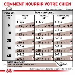 ROYAL CANIN Dog Gastro Intestinal Boîte -nourriture pour chien boutique royal canin dog gastro intestinal boite 2