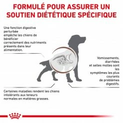 ROYAL CANIN Dog Gastro Intestinal Low Fat -nourriture pour chien boutique royal canin dog gastro intestinal low fat 1
