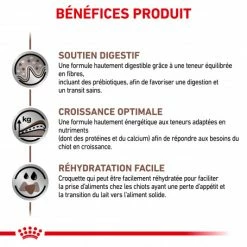 ROYAL CANIN Dog Gastro Intestinal Puppy 12 ROYAL CANIN Dog Gastro Intestinal Puppy -nourriture pour chien boutique royal canin dog gastro intestinal puppy 3