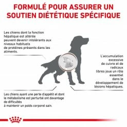 ROYAL CANIN Dog Hepatic -nourriture pour chien boutique royal canin dog hepatic 1