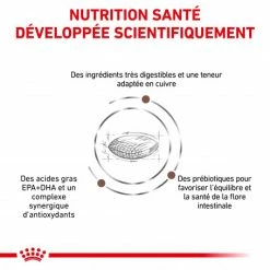 ROYAL CANIN Dog Hepatic -nourriture pour chien boutique royal canin dog hepatic 2