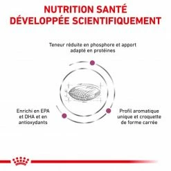 ROYAL CANIN Veterinary Health Nutrition Dog Renal -nourriture pour chien boutique royal canin veterinary diet dog renal 2