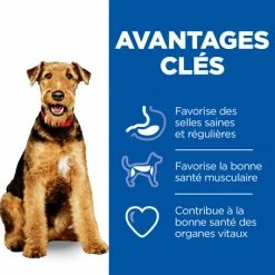 HILL'S Pet Nutrition Vet Essentials Canine Adult Healthy Digestive Biome Medium -nourriture pour chien boutique vet essentials canine adult healthy digestive biome large 10