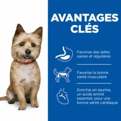 HILL'S Pet Nutrition Vet Essentials Canine Adult Healthy Digestive Biome Small&Mini -nourriture pour chien boutique vet essentials canine adult healthy digestive biome smallmi 3