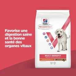 HILL'S Pet Nutrition Vet Essentials Chien Multi-Benefit Adult + Large Breed Agneau & Riz 10 HILL'S Pet Nutrition Vet Essentials Chien Multi-Benefit Adult + Large Breed Agneau & Riz -nourriture pour chien boutique vet essentials chien multi benefit adult 1 l breed agnri 1