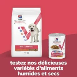 HILL'S Pet Nutrition Vet Essentials Chien Multi-Benefit Adult + Large Breed Agneau & Riz 11 HILL'S Pet Nutrition Vet Essentials Chien Multi-Benefit Adult + Large Breed Agneau & Riz -nourriture pour chien boutique vet essentials chien multi benefit adult 1 l breed agnri 2