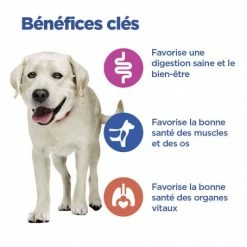 HILL'S Pet Nutrition Vet Essentials Chien Multi-Benefit Adult + Large Breed Agneau & Riz 12 HILL'S Pet Nutrition Vet Essentials Chien Multi-Benefit Adult + Large Breed Agneau & Riz -nourriture pour chien boutique vet essentials chien multi benefit adult 1 l breed agnri 3