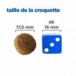 HILL'S Pet Nutrition Vet Essentials Chien Multi-Benefit Adult + Large Breed Agneau & Riz 13 HILL'S Pet Nutrition Vet Essentials Chien Multi-Benefit Adult + Large Breed Agneau & Riz -nourriture pour chien boutique vet essentials chien multi benefit adult 1 l breed agnri 4