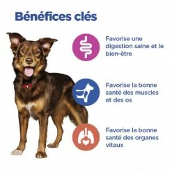 HILL'S Pet Nutrition Vet Essentials Chien Multi-Benefit Adult + Medium Agneau & Riz 10 HILL'S Pet Nutrition Vet Essentials Chien Multi-Benefit Adult + Medium Agneau & Riz -nourriture pour chien boutique vet essentials chien multi benefit adult 1 medium agnriz 3