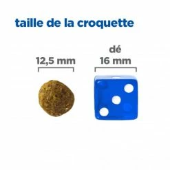 HILL'S Pet Nutrition Vet Essentials Chien Multi-Benefit Adult + Medium Agneau & Riz 11 HILL'S Pet Nutrition Vet Essentials Chien Multi-Benefit Adult + Medium Agneau & Riz -nourriture pour chien boutique vet essentials chien multi benefit adult 1 medium agnriz 4