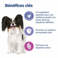 HILL'S Pet Nutrition Vet Essentials Chien Multi-Benefit + Calm Adult 1+ Small & Mini 10 HILL'S Pet Nutrition Vet Essentials Chien Multi-Benefit + Calm Adult 1+ Small & Mini -nourriture pour chien boutique vet essentials chien multi benefit calm adult 1 smm po 3