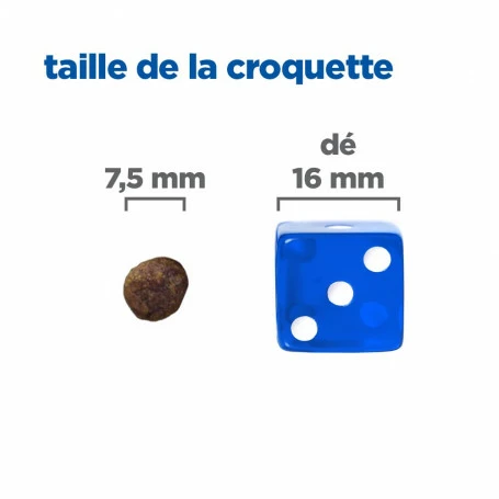 HILL'S Pet Nutrition Vet Essentials Chien Multi-Benefit + Calm Adult 1+ Small & Mini 5 HILL'S Pet Nutrition Vet Essentials Chien Multi-Benefit + Calm Adult 1+ Small & Mini – Image 5