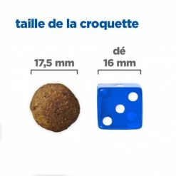 HILL'S Pet Nutrition Vet Essentials Chien Multi-Benefit + Digestion Adulte+ Large Breed -nourriture pour chien boutique vet essentials chien multi benefit digestion ad1 lar br sac de 14 kg 2