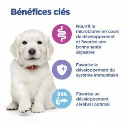 HILL'S Pet Nutrition Vet Essentials Chien Multi-Benefit Puppy Large Breed Poulet -nourriture pour chien boutique vet essentials chien multi benefit puppy large breed poulet 5