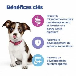 HILL'S Pet Nutrition Vet Essentials Chien Multi-Benefit Puppy Medium Poulet 10 HILL'S Pet Nutrition Vet Essentials Chien Multi-Benefit Puppy Medium Poulet -nourriture pour chien boutique vet essentials chien multi benefit puppy medium poulet 2