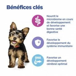 HILL'S Pet Nutrition Vet Essentials Chien Multi-Benefit Puppy Small & Mini Poulet -nourriture pour chien boutique vet essentials chien multi benefit puppy small mini poulet 2