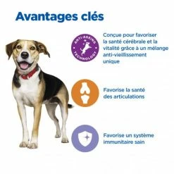 HILL'S Pet Nutrition Vet Essentials Chien Multi-Benefit + Senior Health M&L Poul. -nourriture pour chien boutique vet essentials chien multi benefit senior health ml poul 2