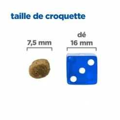 HILL'S Pet Nutrition Vet Essentials Chien Multi-Benefit + Senior Health S&M Poul. 9 HILL'S Pet Nutrition Vet Essentials Chien Multi-Benefit + Senior Health S&M Poul. -nourriture pour chien boutique vet essentials chien multi benefit senior health sm poul 3