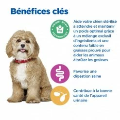 HILL'S Pet Nutrition Vet Essentials Chien Multi-Benefit + Weight Adult 1+ Small & Mini Poulet -nourriture pour chien boutique vet essentials chien multi benefit wei adult 1 smm po 3