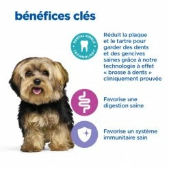 HILL'S Pet Nutrition Vet Essentials Chien Multi-Benefit+Dental Adult 1+ Small & Mini -nourriture pour chien boutique vet essentials chien multi benefitdental adult 1 sm mp 4