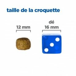 HILL'S Pet Nutrition Vet Essentials Chien Multi-Benefit+Dental Adult 1+ Small & Mini -nourriture pour chien boutique vet essentials chien multi benefitdental adult 1 sm mp 5