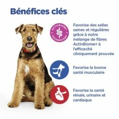 HILL'S Pet Nutrition Vet Essentials Chien Multi-Benefit+Digestion Adult + Medium Au Poulet -nourriture pour chien boutique vet essentials chien multi benefitdigestion adult 1 med p 2