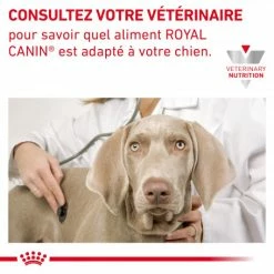 ROYAL CANIN Veterinary Health Nutrition Dog Cardiac 15 ROYAL CANIN Veterinary Health Nutrition Dog Cardiac -nourriture pour chien boutique veterinary diet dog cardiac 7