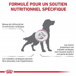 ROYAL CANIN Veterinary Health Nutrition Dog Cardiac Boîte -nourriture pour chien boutique veterinary diet dog cardiac boite 1