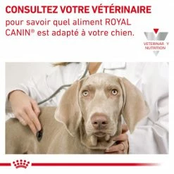 ROYAL CANIN Veterinary Health Nutrition Dog Cardiac Boîte -nourriture pour chien boutique veterinary diet dog cardiac boite 5