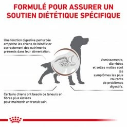 ROYAL CANIN Dog Gastro Intestinal High Fibre -nourriture pour chien boutique veterinary diet dog fibre response 1