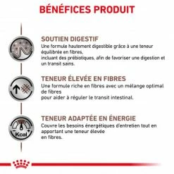 ROYAL CANIN Dog Gastro Intestinal High Fibre -nourriture pour chien boutique veterinary diet dog fibre response 3