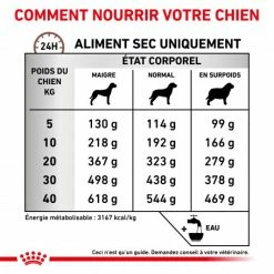 ROYAL CANIN Dog Gastro Intestinal High Fibre -nourriture pour chien boutique veterinary diet dog fibre response 4