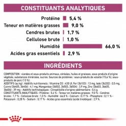 ROYAL CANIN Veterinary Health Nutrition Dog Renal Boîte -nourriture pour chien boutique veterinary diet dog renal boite 3