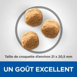 HILL'S Pet Nutrition Vet Essentials Canine Adult Dental Health Large Breed Poulet -nourriture pour chien boutique vetessentials canine adult large breed 2