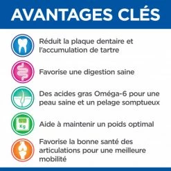 HILL'S Pet Nutrition Vet Essentials Canine Adult Dental Health Large Breed Poulet -nourriture pour chien boutique vetessentials canine adult large breed 3