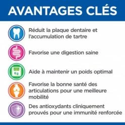 HILL'S Pet Nutrition Vet Essentials Canine Mature Dental Health Medium & Large -nourriture pour chien boutique vetessentials canine mature dental health medium large 2