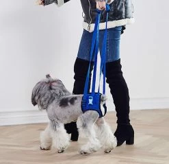 Unbranded Dog Aid Tool Harnais De Levage Réglable Pour La Jambe Arrière Sling Sling Leash -nourriture pour chien boutique 172063391 max