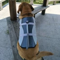 Unbranded Animal Chien Gilet De Sauvetage Gilet De Sauvetage Grand Chien Collier Harnais Saver Pet Dog Swimming Preserver 6 Unbranded Animal Chien Gilet De Sauvetage Gilet De Sauvetage Grand Chien Collier Harnais Saver Pet Dog Swimming Preserver -nourriture pour chien boutique 172067039 max