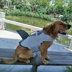 Unbranded Animal Chien Gilet De Sauvetage Gilet De Sauvetage Grand Chien Collier Harnais Saver Pet Dog Swimming Preserver 7 Unbranded Animal Chien Gilet De Sauvetage Gilet De Sauvetage Grand Chien Collier Harnais Saver Pet Dog Swimming Preserver -nourriture pour chien boutique 172067115 max