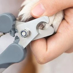 Unbranded Pet Dog Cat Clean Tools Grooming Clippers Professional Sharp Stainless Stee (Gris) -nourriture pour chien boutique 172114234 max