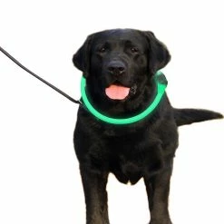 Bxasdf Light Up Dog Collar Rechargeable Pour L’obscurité, La Marche Nocturne