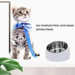 Bxasdf Pet Dog Cat Feeding Bowl, Pet Cat Bowl Puppy Food Water Feeder, Pas De Glissement -nourriture pour chien boutique 175906474 max