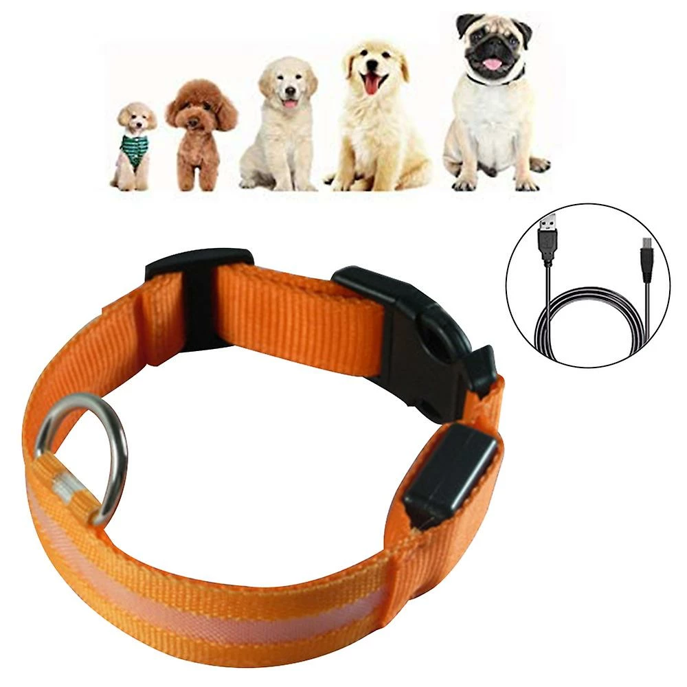 Yskaze Led Dog Collar Battery Operated Rend Votre Chien Visible En Toute Sécurité Et Vu 2 Yskaze Led Dog Collar Battery Operated Rend Votre Chien Visible En Toute Sécurité Et Vu – Image 2