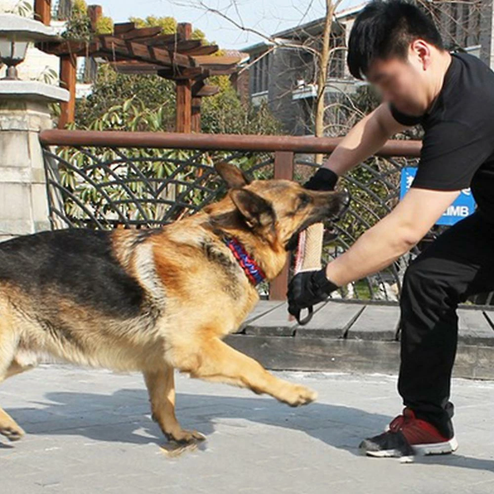 Sxbd Dressage De Chien Oreiller Jute Morsure Jouet Chien Remorquer Jouet Durable Dog Stick 4 Sxbd Dressage De Chien Oreiller Jute Morsure Jouet Chien Remorquer Jouet Durable Dog Stick – Image 4