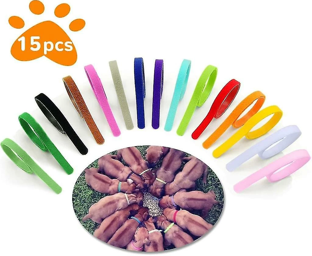 Giveuphesit 15 Pcs Colliers Pour Chiots, Colliers Réglables Pour Chatons Pour Chiots Set Collar Puppy Utilisé Pour Les Animaux De Compagnie Nouveau-nés Puppy Dog Identification Dog Tags, Nylon Multicolore 2 Giveuphesit 15 Pcs Colliers Pour Chiots, Colliers Réglables Pour Chatons Pour Chiots Set Collar Puppy Utilisé Pour Les Animaux De Compagnie Nouveau-nés Puppy Dog Identification Dog Tags, Nylon Multicolore – Image 2