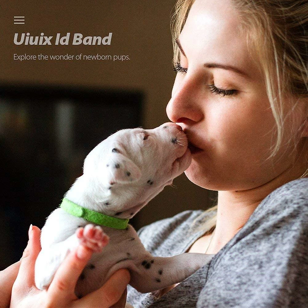 Giveuphesit 15 Pcs Colliers Pour Chiots, Colliers Réglables Pour Chatons Pour Chiots Set Collar Puppy Utilisé Pour Les Animaux De Compagnie Nouveau-nés Puppy Dog Identification Dog Tags, Nylon Multicolore 5 Giveuphesit 15 Pcs Colliers Pour Chiots, Colliers Réglables Pour Chatons Pour Chiots Set Collar Puppy Utilisé Pour Les Animaux De Compagnie Nouveau-nés Puppy Dog Identification Dog Tags, Nylon Multicolore – Image 5