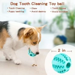 Unbranded 5cm Caoutchouc Naturel Pet Dog Toys Chien Jouets à Mâcher Dents Nettoyage Des Dents Treat Ball Extra-tough Interactive Elasticity Ball Pour Animaux De Compagnie Produits Pour Animaux De Compagnie 9 Unbranded 5cm Caoutchouc Naturel Pet Dog Toys Chien Jouets à Mâcher Dents Nettoyage Des Dents Treat Ball Extra-tough Interactive Elasticity Ball Pour Animaux De Compagnie Produits Pour Animaux De Compagnie -nourriture pour chien boutique 190251201 max