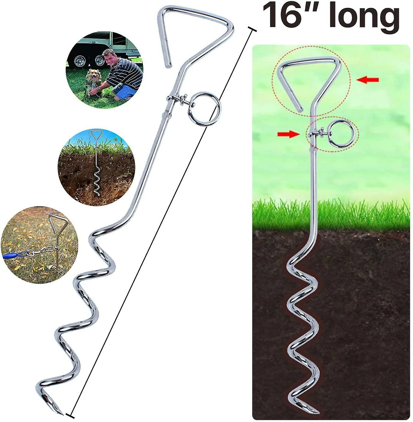 Rudoll Chrome Dog Stake - Accessoire Robuste - Pour Chiens 4 Rudoll Chrome Dog Stake - Accessoire Robuste - Pour Chiens – Image 4