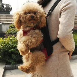 Yeye Sac à Dos Pet Carrier, Sac à Dos Réglable Pet Front Cat Dog Carrier Backpack 7 Yeye Sac à Dos Pet Carrier, Sac à Dos Réglable Pet Front Cat Dog Carrier Backpack -nourriture pour chien boutique 192750258 max